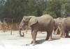 zoo02